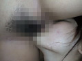 画像0293