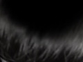 Digest Image 10