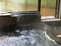 画像0184