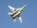 F-14 TOMCAT SPECIAL From WINGS2000 画像(7)