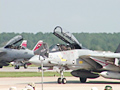 F-14 トムキャット・ラストエアショー 画像(9)