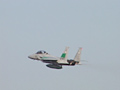 F-15 EAGLE 航空祭 Special 航空自衛隊要撃戦闘機 画像(6)