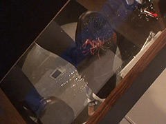めいが出演するめいちゃんのローファー、ガラステーブルでザリCRUSHー1の動画を観る方法