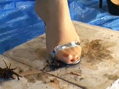 【foot】あかりのサンダルストッキングでカブクワクラッシュ 1の無料エロ動画