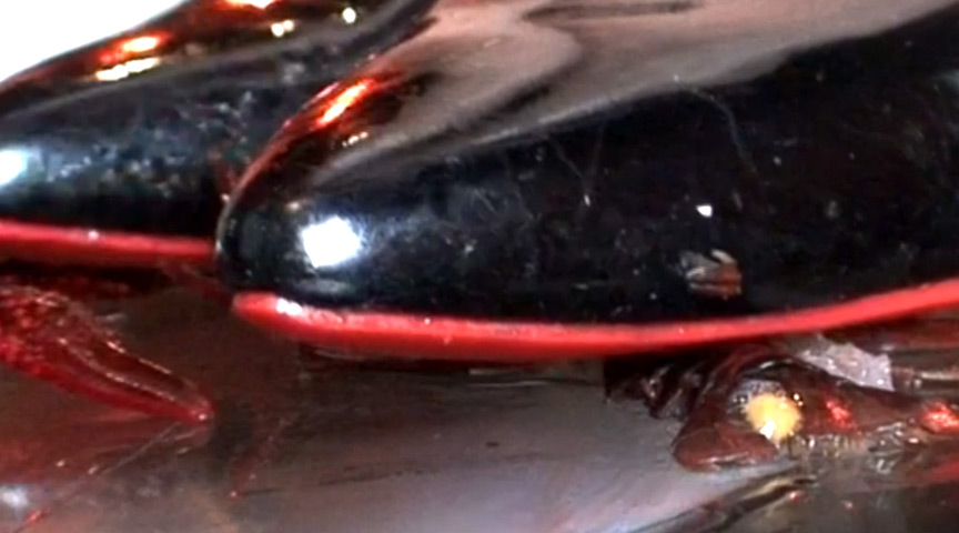 エロ動画7 | foot-0089 みくちゃんのサンタのガラステーブルでCRUSH 最終章