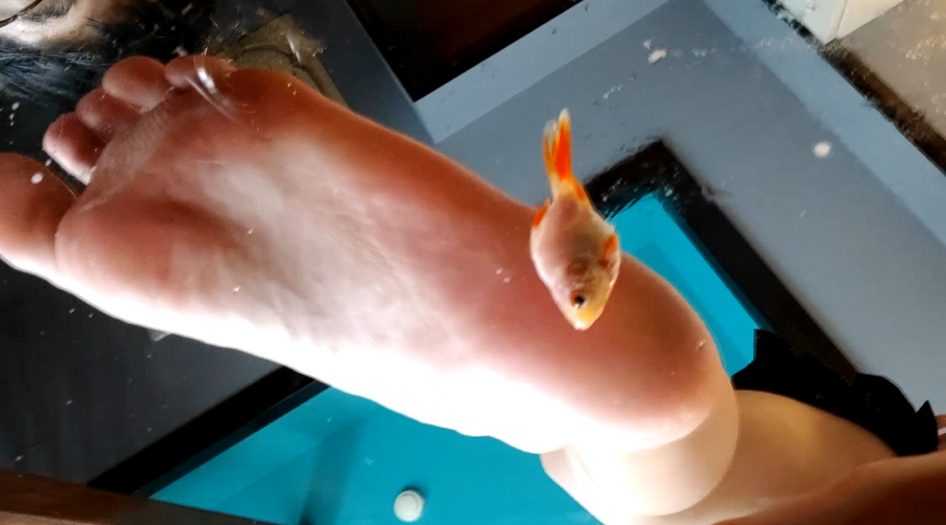 みくちゃんの裸足で金魚CRUSH vol1 | アダルトガイドナビ