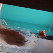 みくちゃんの裸足で金魚CRUSH vol3