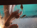 みくちゃんの裸足で金魚CRUSH vol4 サンプル画像3
