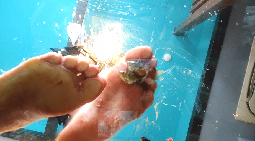 みくちゃんの裸足で金魚CRUSH vol5 | フェチマニアのエロ動画【Data-Base】