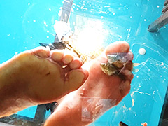 [foot-0099] みくちゃんの裸足で金魚CRUSH vol5のイメージ画像