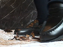 [foot-0112] みくちゃんのローファーでカブトムシCRUSH VOL2のイメージ画像