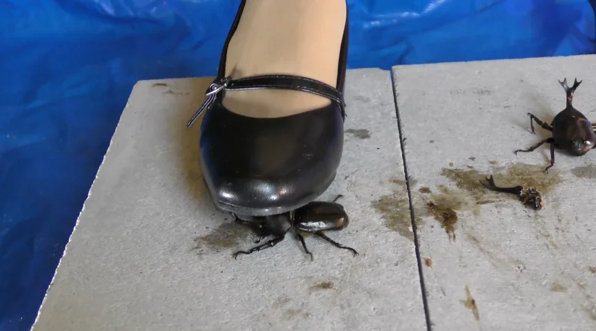 復刻版めいの私服パンプスでカブトム○クラッシュ VOL2