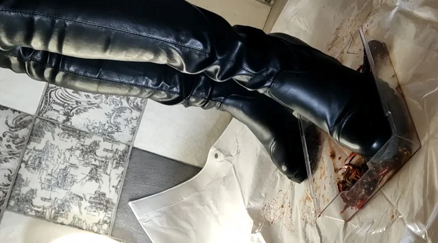 あみちゃんのマーチングバンドでザリガニ駆除黒ブーツ編