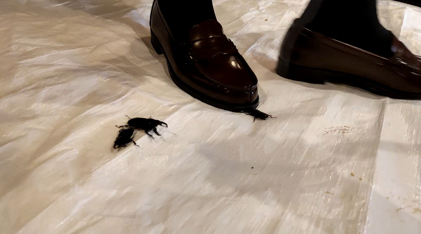 めいちゃんのクワガタCRUSH 画像5