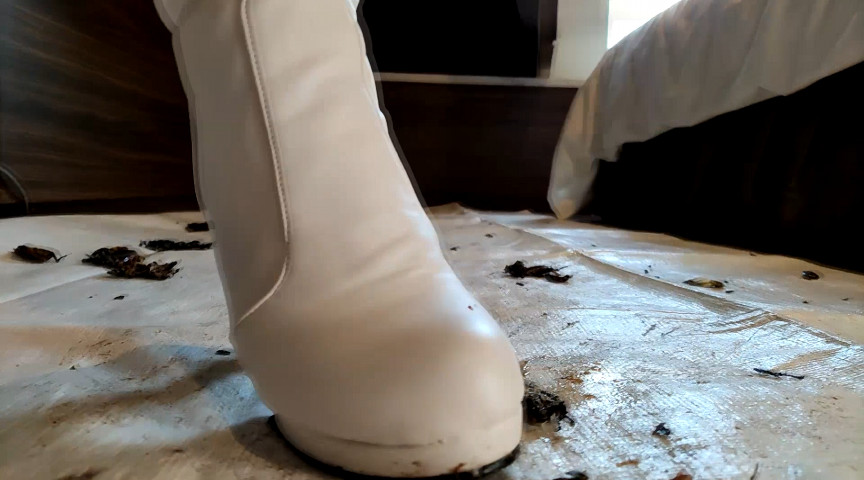 みくちゃんのマーチングバンド隊でカブトムシCRUSH VOL2 画像2