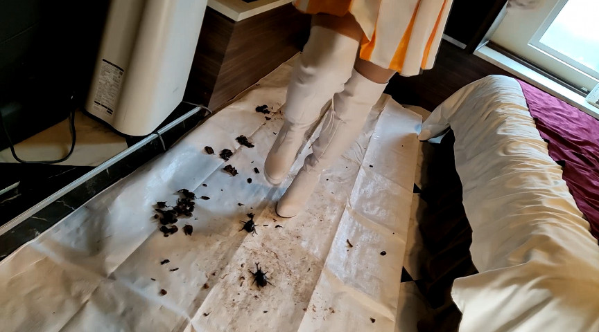 みくちゃんのマーチングバンド隊でカブトムシCRUSH VOL2 画像3