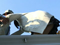 Digest Image 22