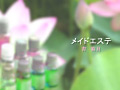 画像0066