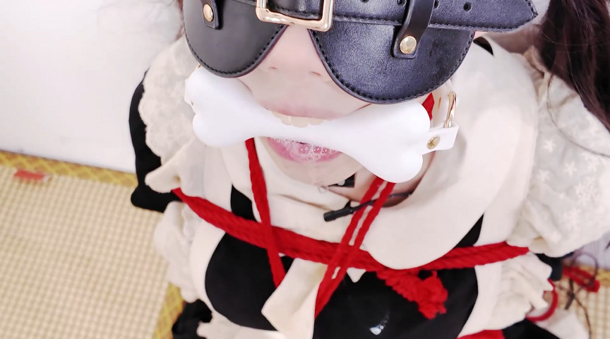 ヨダレを垂らしながらご主人様の指示を待つ人間牝犬 画像7