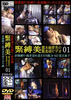 緊縛美1 超豊満巨乳縛り・愛虐縄