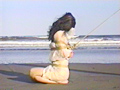 砂の女・拷問海岸 早乙女宏美 サンプル画像3