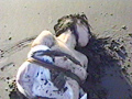 砂の女・拷問海岸 早乙女宏美のサンプル画像12