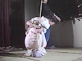 [fuji-0364] 女肉嬲り縄・和装豊満尻泣き責めのキャプチャ画像 10