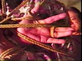股縄悶絶・燃えつきた美貌熟女