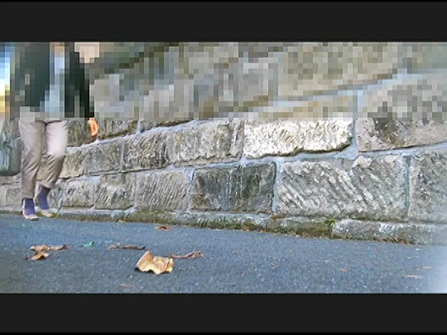 お嬢様がトンボとカタツムリを踏みにじって歩き去る！