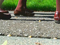 [fumaretai-0007]お嬢様がトンボとカタツムリを踏みにじって歩き去る！
