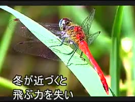 シーン 1