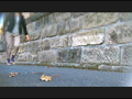 [fumaretai-0007] お嬢様がトンボとカタツムリを踏みにじって歩き去る！のキャプチャ画像 1