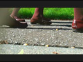 [fumaretai-0007] お嬢様がトンボとカタツムリを踏みにじって歩き去る！のキャプチャ画像 7