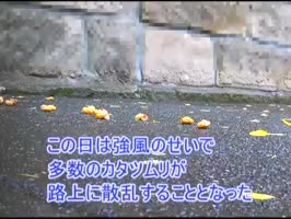 シーン 1