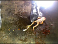 [fumaretai-0019] ロングブーツと赤タイツがヒキガエルを踏み潰す！ シロのキャプチャ画像 4