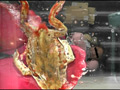 [fumaretai-0019] ロングブーツと赤タイツがヒキガエルを踏み潰す！ シロのキャプチャ画像 8