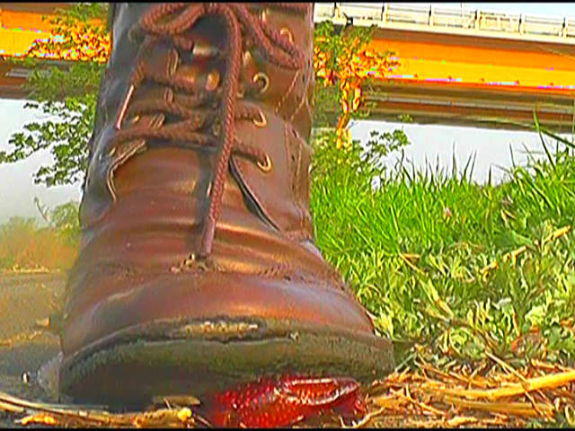 ウォークングシューズや短靴でザリガニを踏み砕く！ | DUGAエロ動画データベース