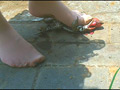 屋外を歩き土で汚れたストッキング＆ナマ足でヒキガエルを踏み潰す！のサンプル画像10