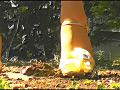 [fumaretai-0029] 「草原のヒキガエル」を泥まみれにして踏み潰す！ 瀬川水桜里のキャプチャ画像 1