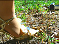 [fumaretai-0029] 「草原のヒキガエル」を泥まみれにして踏み潰す！ 瀬川水桜里のキャプチャ画像 8