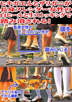 ヒキガエルとザリガニが生ストッキングで踏み潰される！