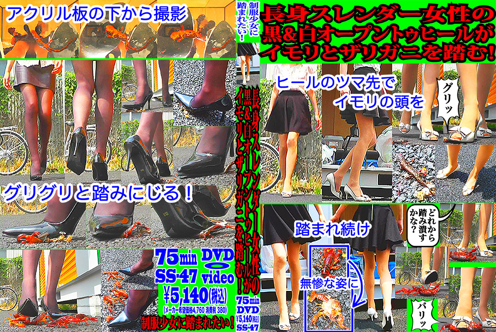 [fumaretai-0036] スレンダー女性の黒＆白ヒールがイモリとザリガニを踏む 知世のジャケット画像