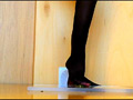 透明＆黒ストッキングの女性のナマ足がヒキガエルとアマガエルをグチャグチャと踏み潰す！のサンプル画像10