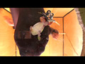 透明＆黒ストッキングの女性のナマ足がヒキガエルとアマガエルをグチャグチャと踏み潰す！のサンプル画像17