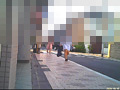 [fumaretai-0043] 女子大生のサンダルやスニーカーがイモムシを踏み潰す！のキャプチャ画像 5