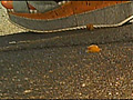 女子大生のパンプス・サンダル・スニーカー・自転車がカタツムリとイモムシを踏み潰す！のサンプル画像13