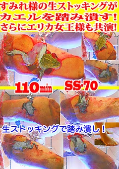 すみれ様の生ストッキングがカエルを踏み潰す！
