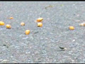 [fumaretai-0053] 【復刻版】カタツムリがローファーで踏み潰される！2のキャプチャ画像 9