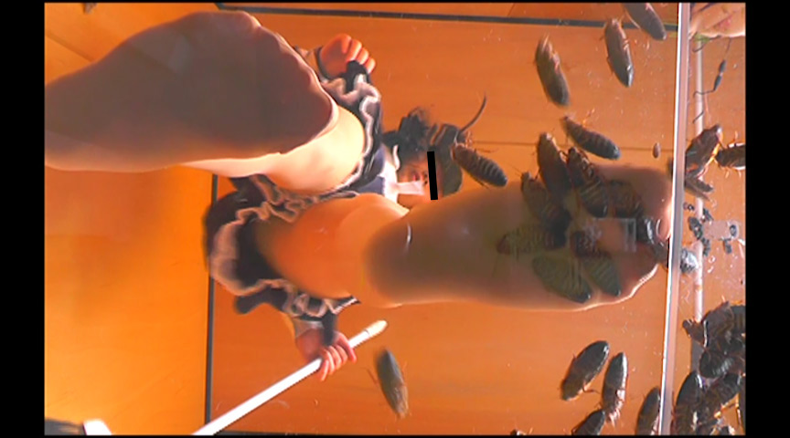瀬川みおり様が生ストッキングで巨大ゴキブリを踏み潰す | フェチマニアのエロ動画【Data-Base】