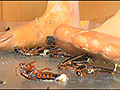 [fumaretai-0056] 瀬川みおり様が生ストッキングで巨大ゴキブリを踏み潰すのキャプチャ画像 7